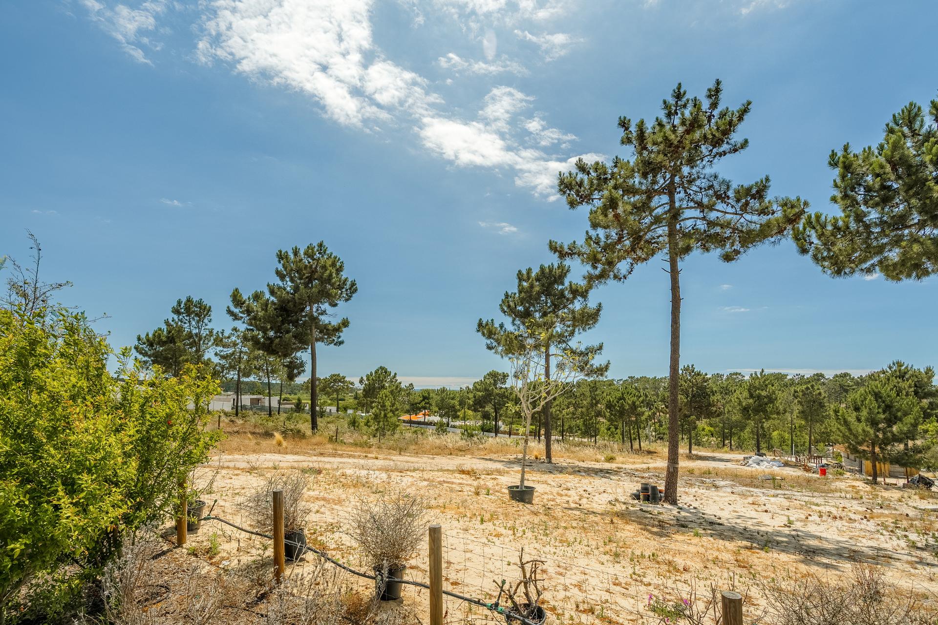 Land in Grândola — photograph 4