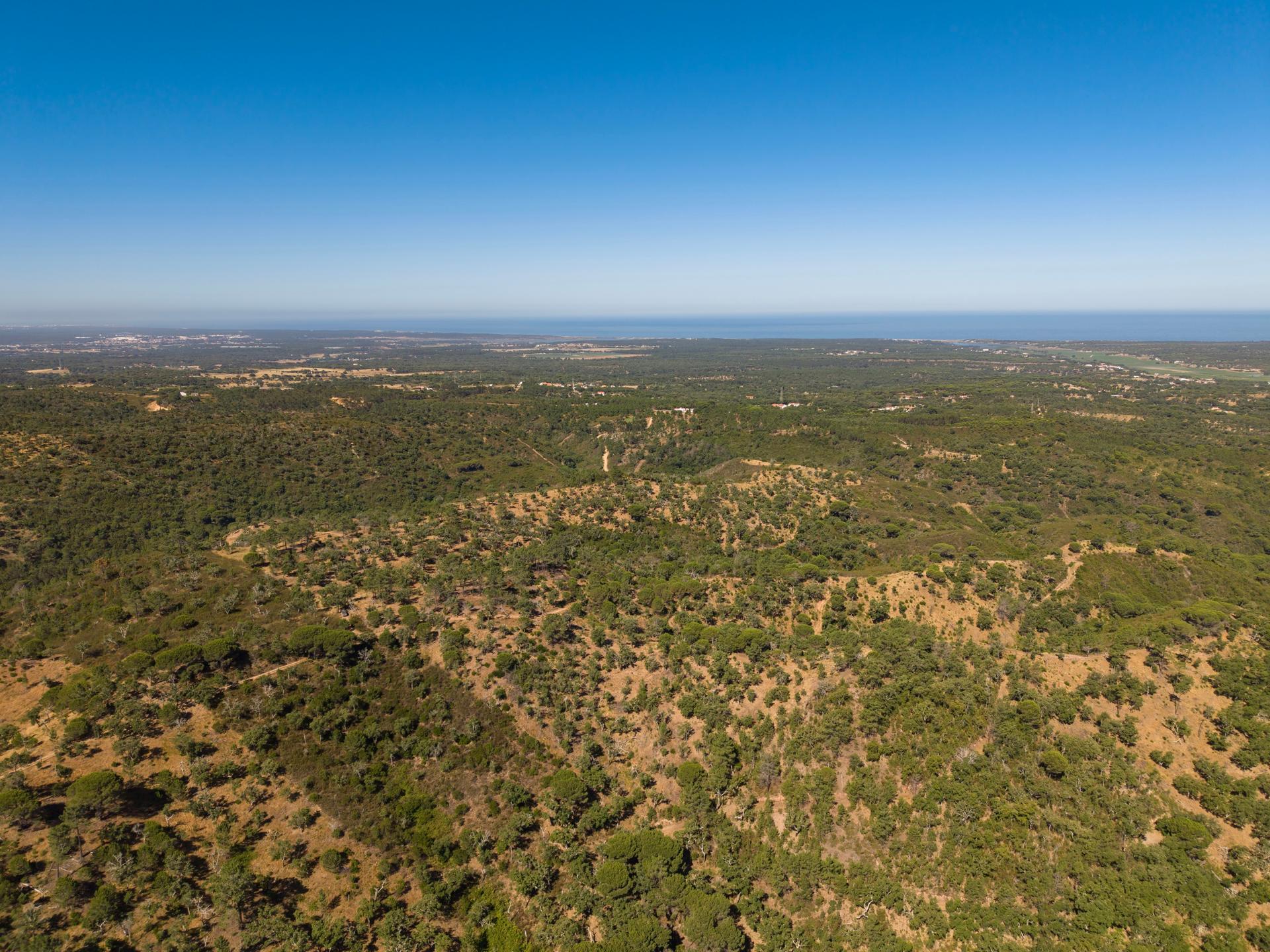 Land in Grândola — photograph 4