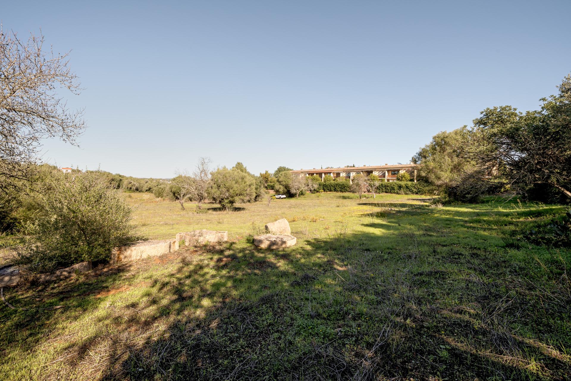 Land in Silves — photograph 4